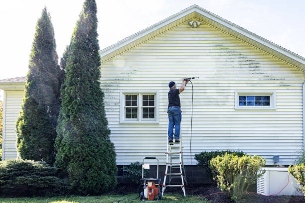 Best Roof Pressure Washing  in Middletown, IN